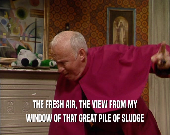 THE FRESH AIR, THE VIEW FROM MY
 WINDOW OF THAT GREAT PILE OF SLUDGE
 