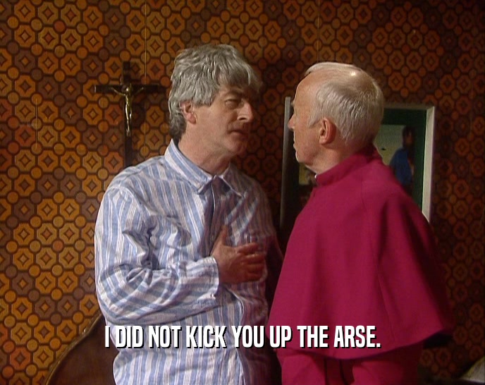 I DID NOT KICK YOU UP THE ARSE.  