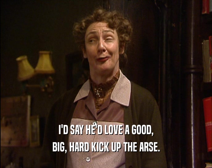 I'D SAY HE'D LOVE A GOOD, BIG, HARD KICK UP THE ARSE. 