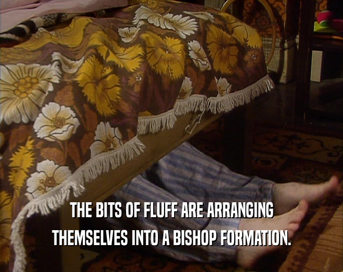 THE BITS OF FLUFF ARE ARRANGING THEMSELVES INTO A BISHOP FORMATION. 