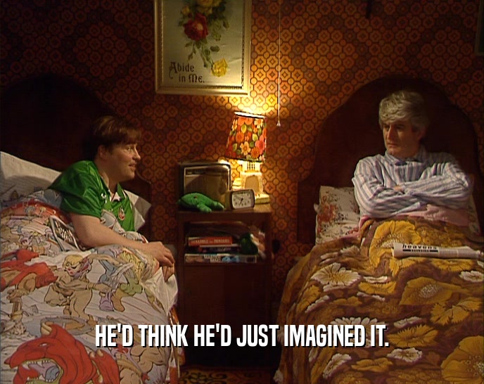 HE'D THINK HE'D JUST IMAGINED IT.  