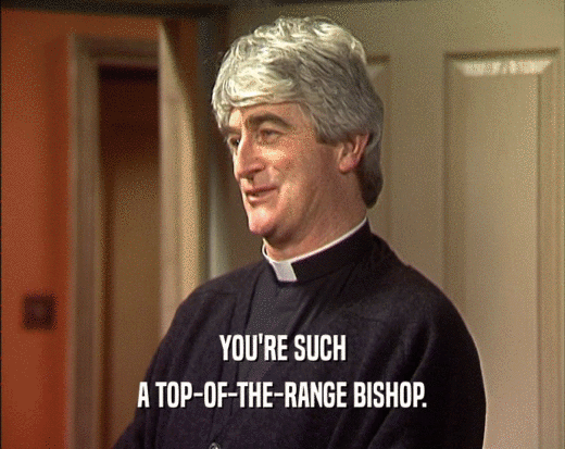 YOU'RE SUCH
 A TOP-OF-THE-RANGE BISHOP.
 