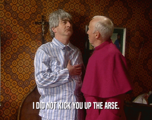 I DID NOT KICK YOU UP THE ARSE.  