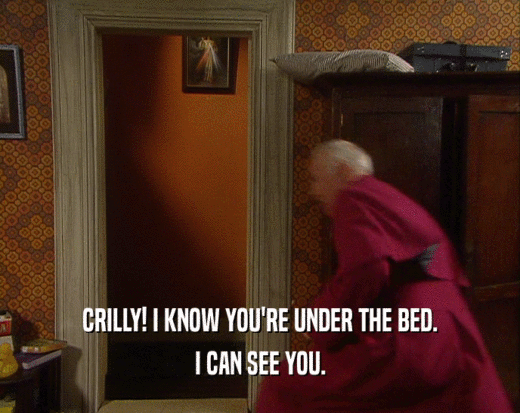 CRILLY! I KNOW YOU'RE UNDER THE BED. I CAN SEE YOU. 