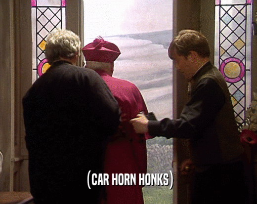 (CAR HORN HONKS)  