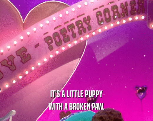 IT'S A LITTLE PUPPY
 WITH A BROKEN PAW.
 