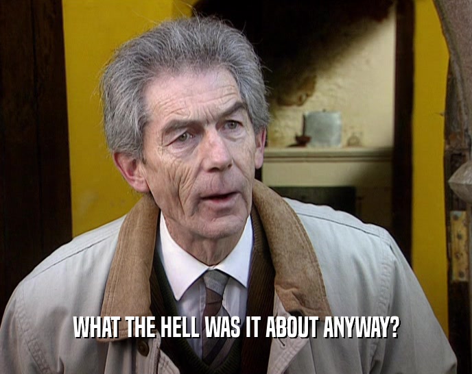 WHAT THE HELL WAS IT ABOUT ANYWAY?  