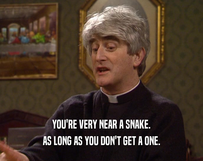 YOU'RE VERY NEAR A SNAKE. AS LONG AS YOU DON'T GET A ONE. 