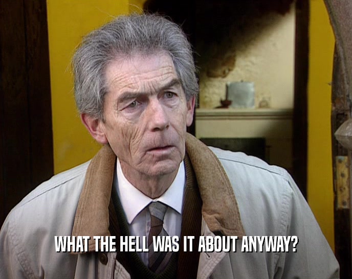 WHAT THE HELL WAS IT ABOUT ANYWAY?  