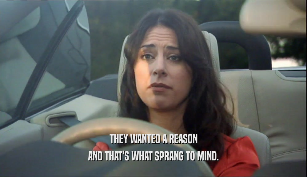 THEY WANTED A REASON AND THAT'S WHAT SPRANG TO MIND. 