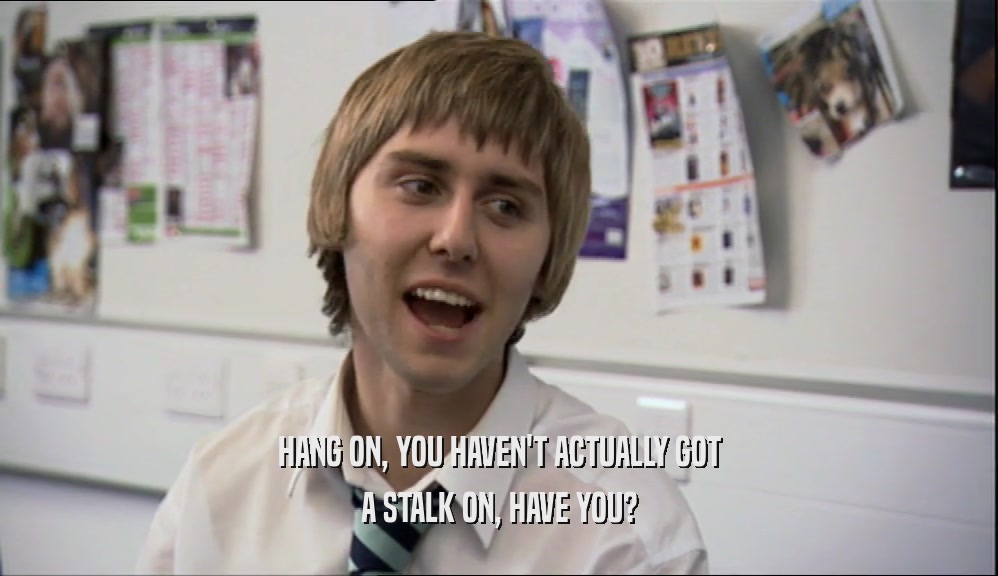 HANG ON, YOU HAVEN'T ACTUALLY GOT A STALK ON, HAVE YOU? 