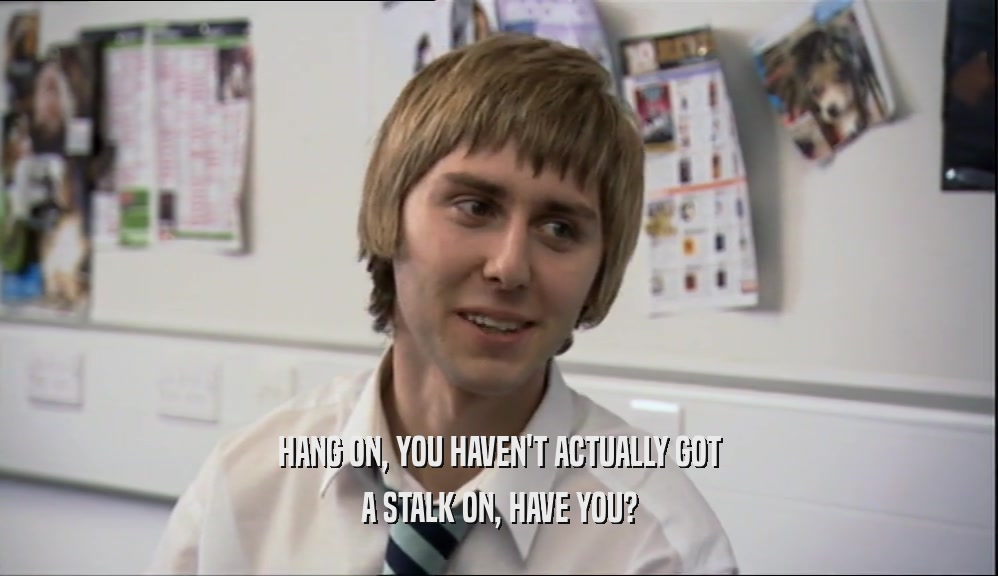 HANG ON, YOU HAVEN'T ACTUALLY GOT A STALK ON, HAVE YOU? 