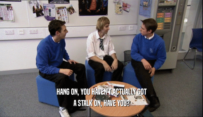 HANG ON, YOU HAVEN'T ACTUALLY GOT A STALK ON, HAVE YOU? 