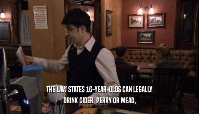 THE LAW STATES 16-YEAR-OLDS CAN LEGALLY DRINK CIDER, PERRY OR MEAD, 