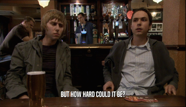 BUT HOW HARD COULD IT BE?  