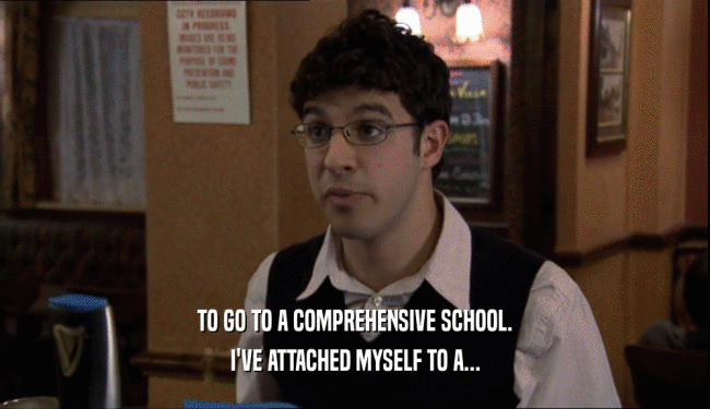 TO GO TO A COMPREHENSIVE SCHOOL. I'VE ATTACHED MYSELF TO A... 