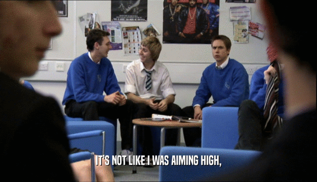 IT'S NOT LIKE I WAS AIMING HIGH,  