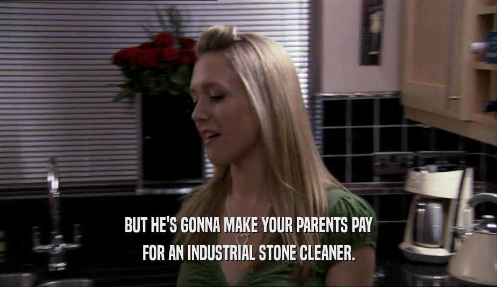 BUT HE'S GONNA MAKE YOUR PARENTS PAY FOR AN INDUSTRIAL STONE CLEANER. 