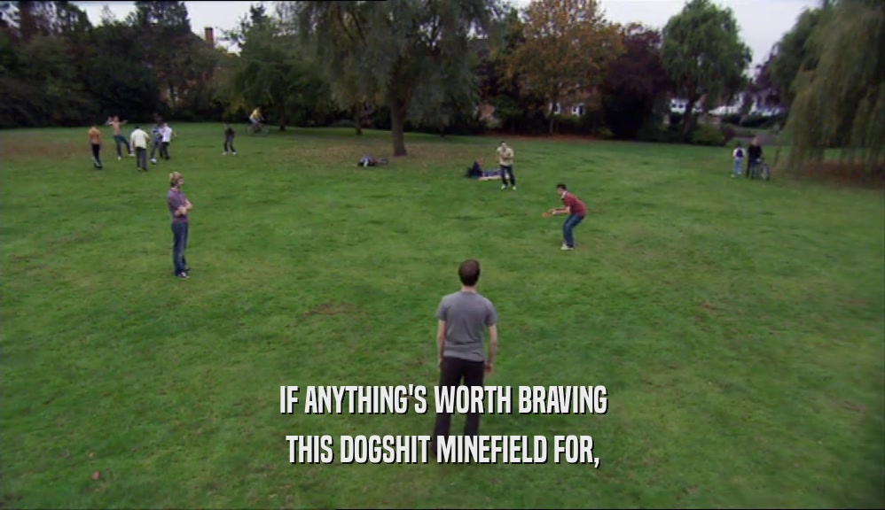 IF ANYTHING'S WORTH BRAVING THIS DOGSHIT MINEFIELD FOR, 