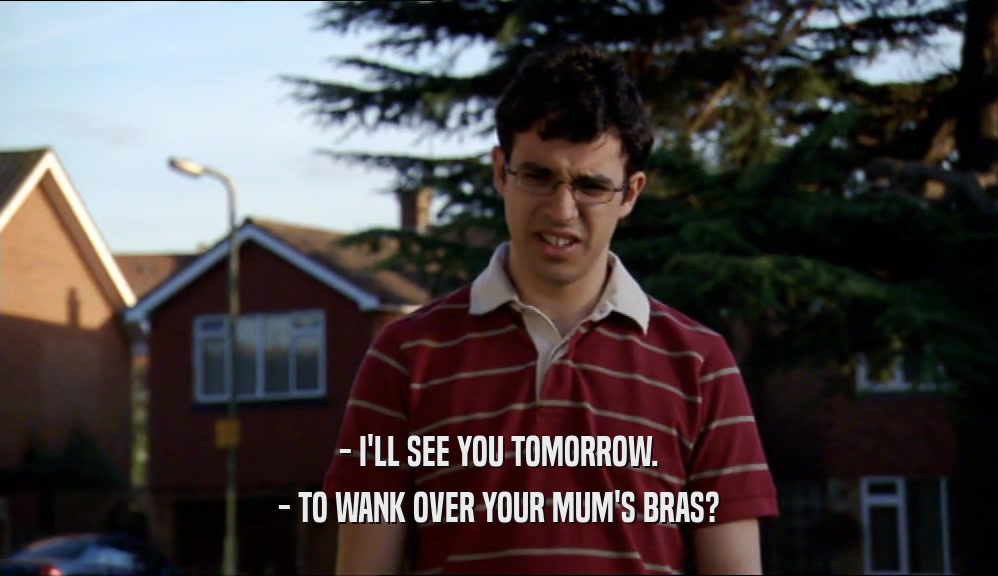 - I'LL SEE YOU TOMORROW. - TO WANK OVER YOUR MUM'S BRAS? 