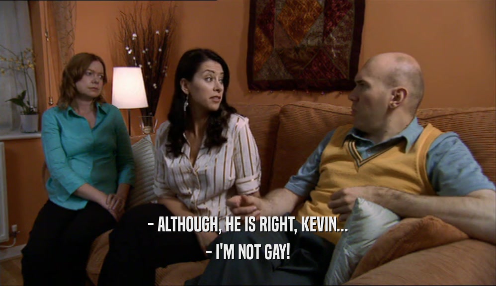 - ALTHOUGH, HE IS RIGHT, KEVIN... - I'M NOT GAY! 