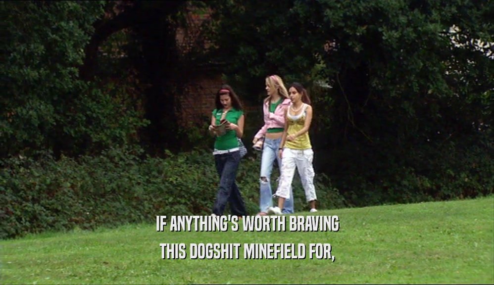 IF ANYTHING'S WORTH BRAVING THIS DOGSHIT MINEFIELD FOR, 