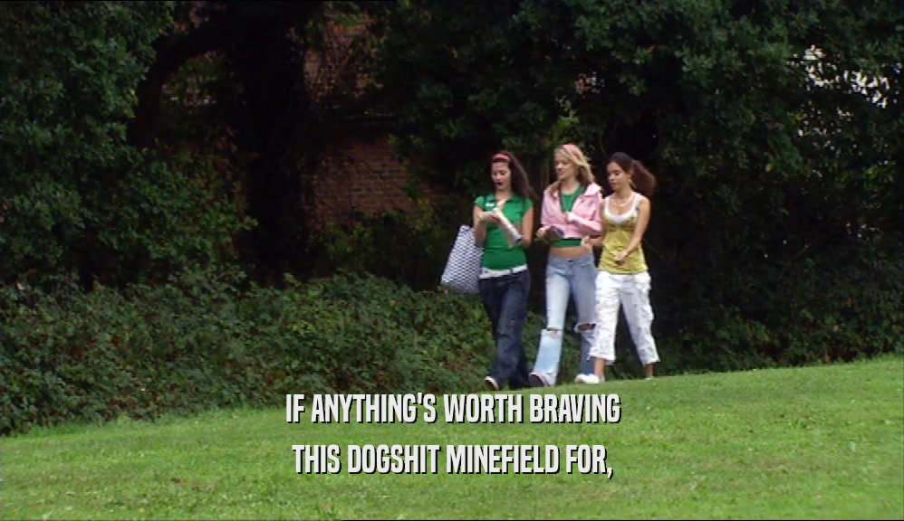IF ANYTHING'S WORTH BRAVING THIS DOGSHIT MINEFIELD FOR, 