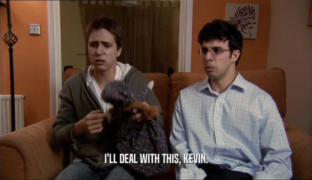 I'LL DEAL WITH THIS, KEVIN.  