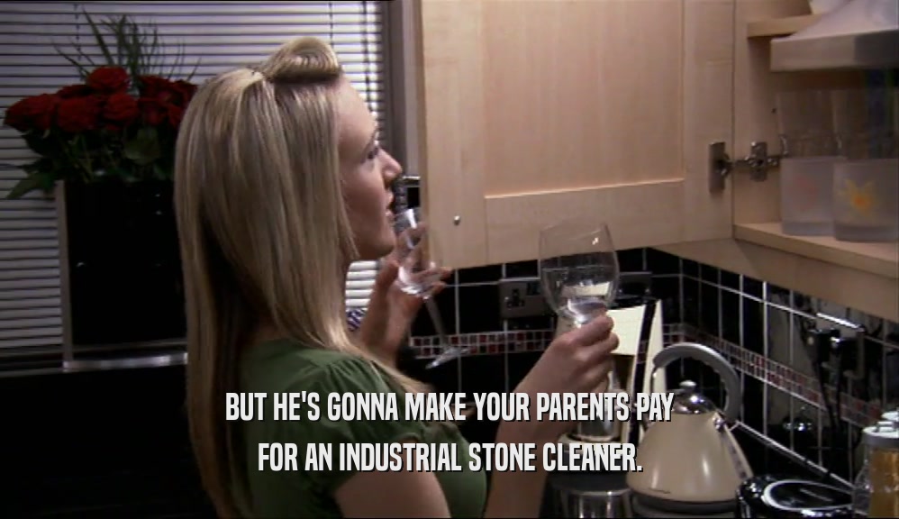 BUT HE'S GONNA MAKE YOUR PARENTS PAY FOR AN INDUSTRIAL STONE CLEANER. 