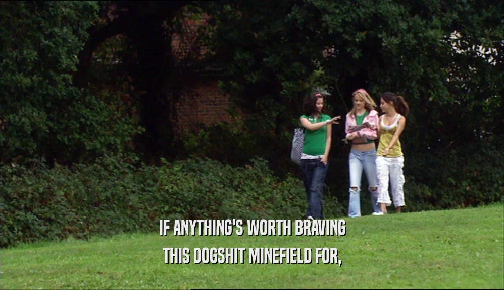 IF ANYTHING'S WORTH BRAVING THIS DOGSHIT MINEFIELD FOR, 