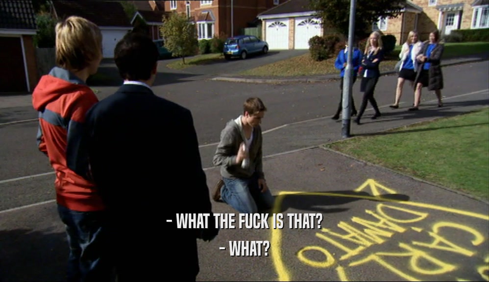 - WHAT THE FUCK IS THAT? - WHAT? 