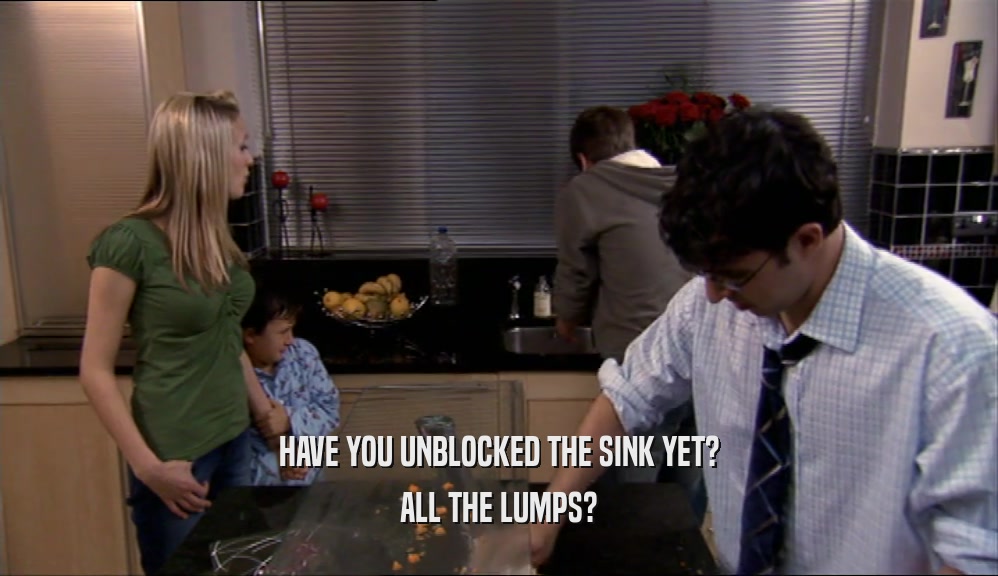 HAVE YOU UNBLOCKED THE SINK YET? ALL THE LUMPS? 