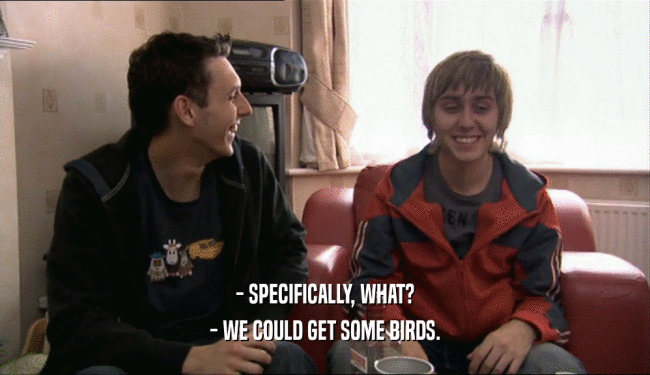 - SPECIFICALLY, WHAT? - WE COULD GET SOME BIRDS. 
