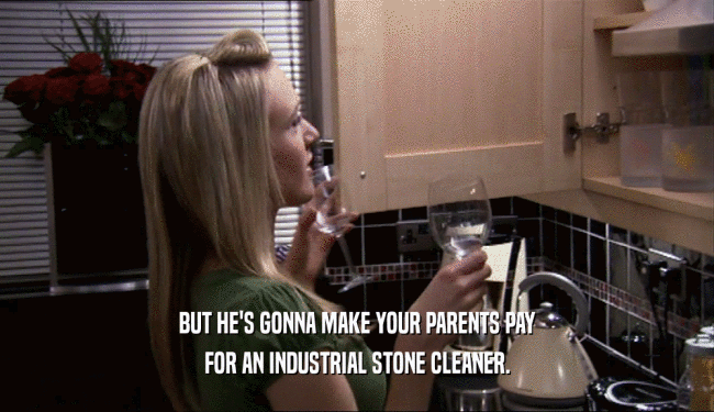 BUT HE'S GONNA MAKE YOUR PARENTS PAY FOR AN INDUSTRIAL STONE CLEANER. 