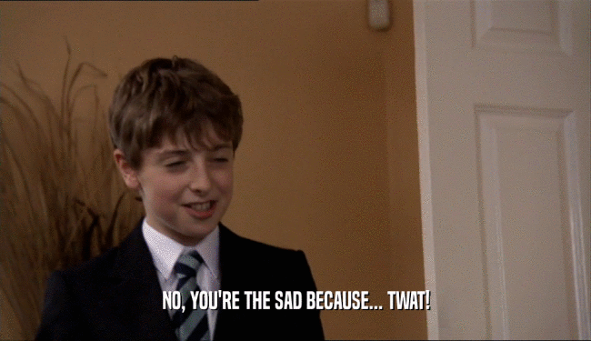 NO, YOU'RE THE SAD BECAUSE... TWAT!  