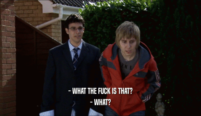 - WHAT THE FUCK IS THAT? - WHAT? 