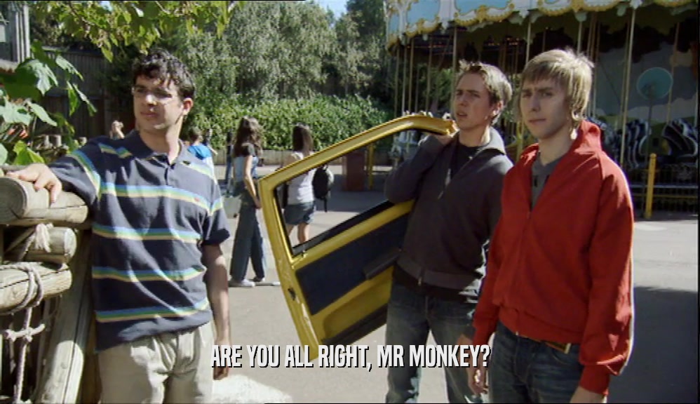 ARE YOU ALL RIGHT, MR MONKEY?  