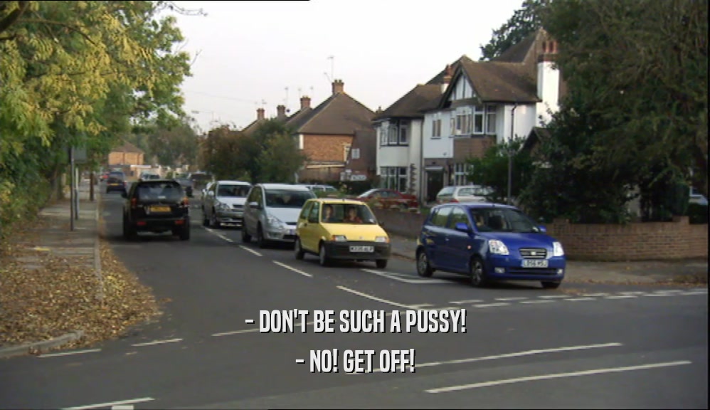 - DON'T BE SUCH A PUSSY! - NO! GET OFF! 
