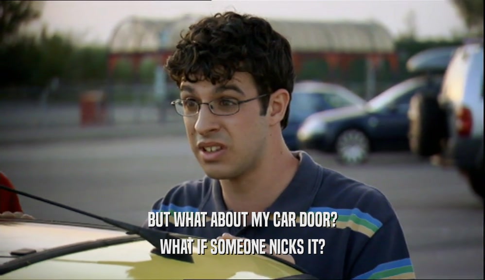 BUT WHAT ABOUT MY CAR DOOR? WHAT IF SOMEONE NICKS IT? 