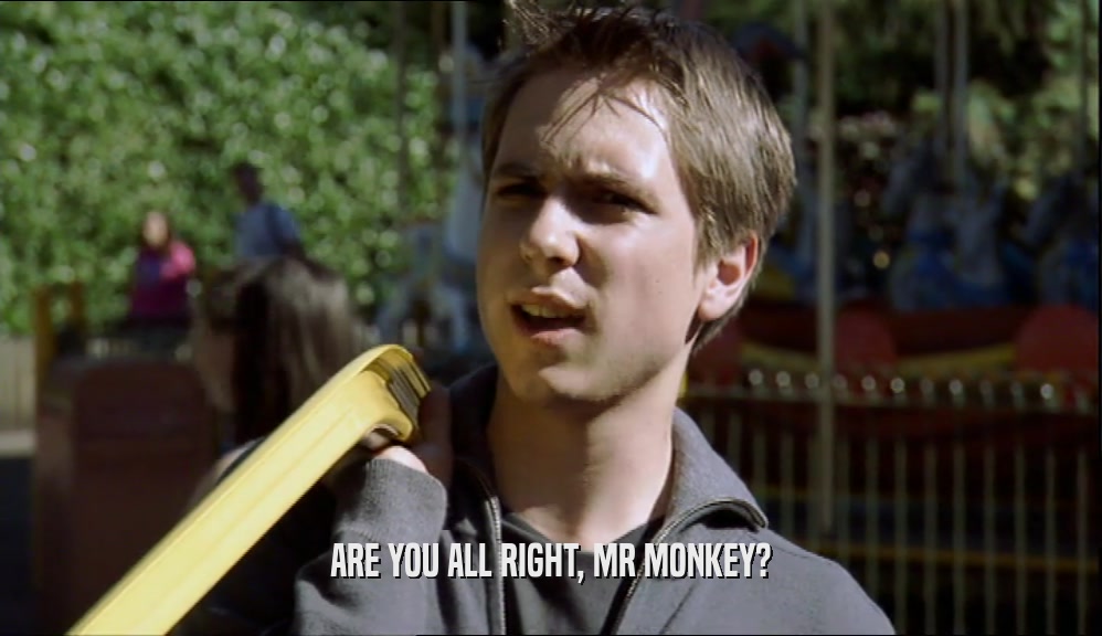ARE YOU ALL RIGHT, MR MONKEY?  
