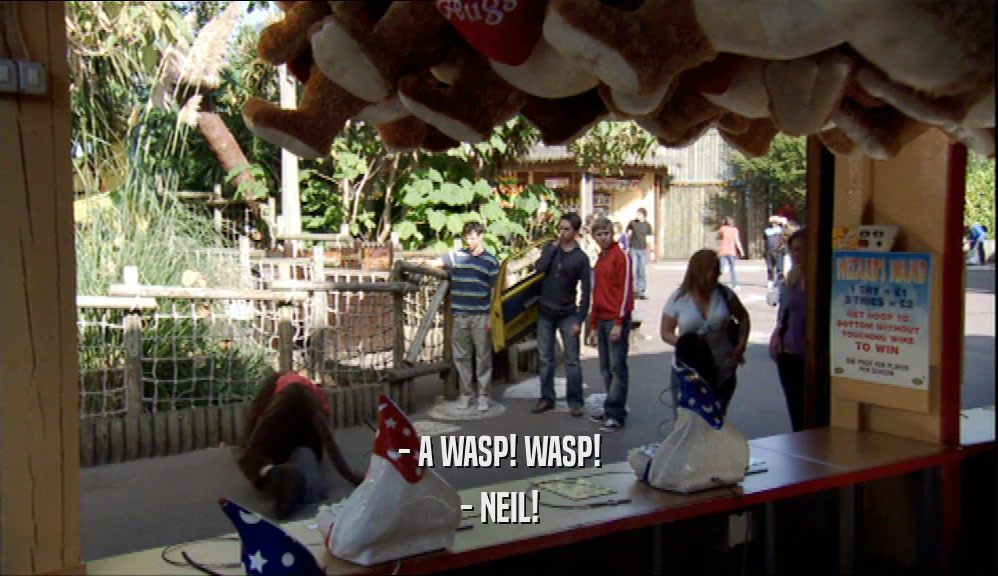 - A WASP! WASP! - NEIL! 