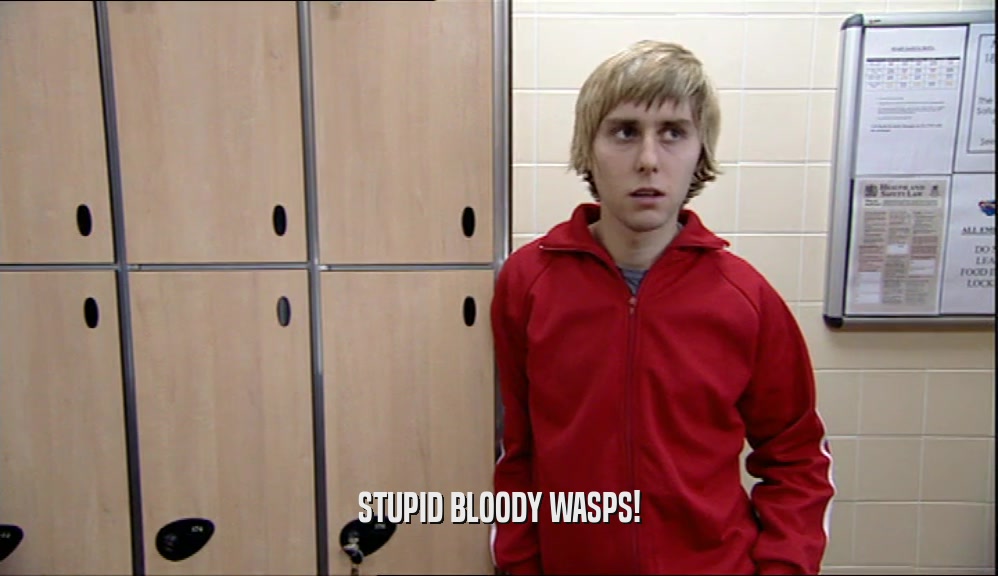 STUPID BLOODY WASPS!  