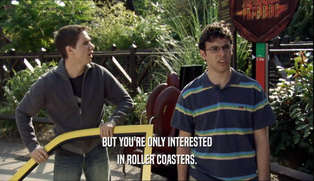 BUT YOU'RE ONLY INTERESTED IN ROLLER COASTERS. 