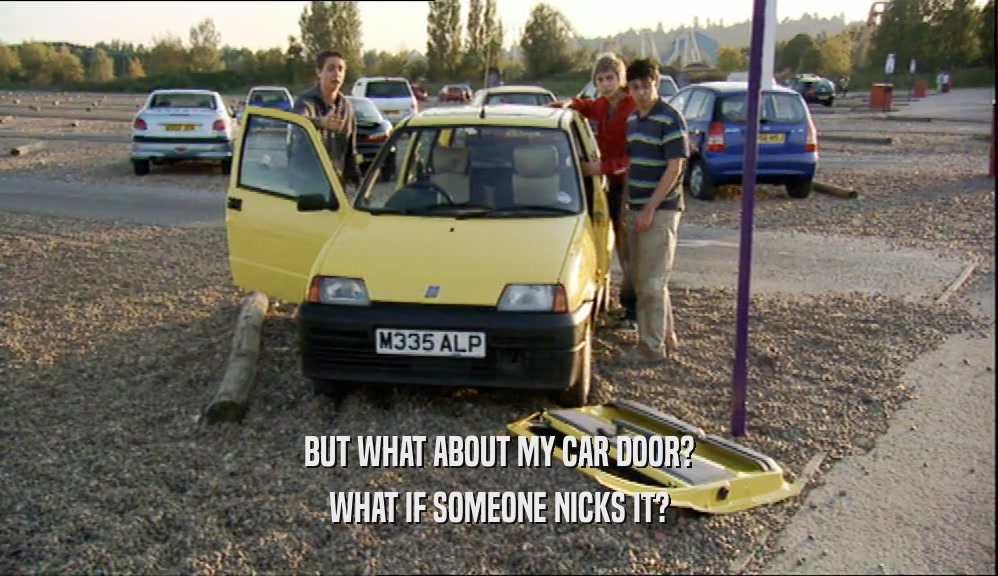 BUT WHAT ABOUT MY CAR DOOR? WHAT IF SOMEONE NICKS IT? 