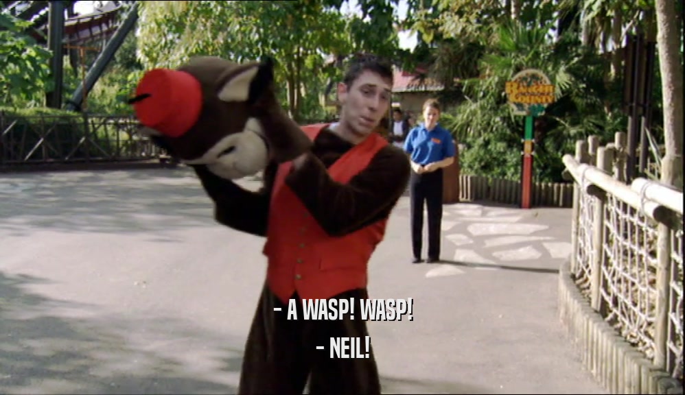 - A WASP! WASP! - NEIL! 