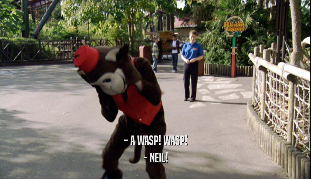 - A WASP! WASP! - NEIL! 