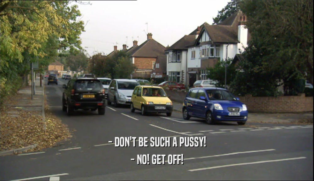 - DON'T BE SUCH A PUSSY! - NO! GET OFF! 