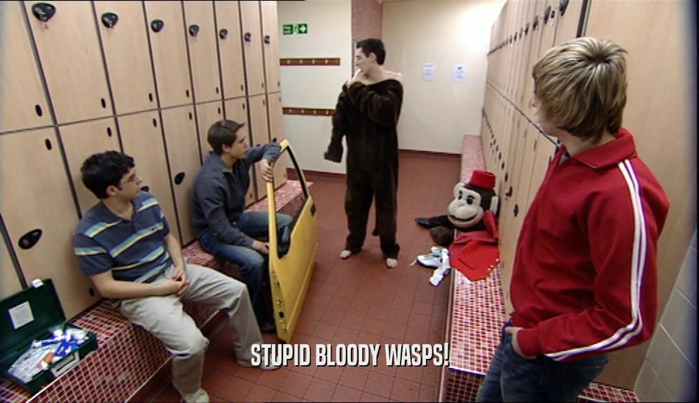 STUPID BLOODY WASPS!  