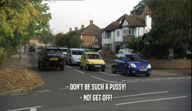 - DON'T BE SUCH A PUSSY! - NO! GET OFF! 