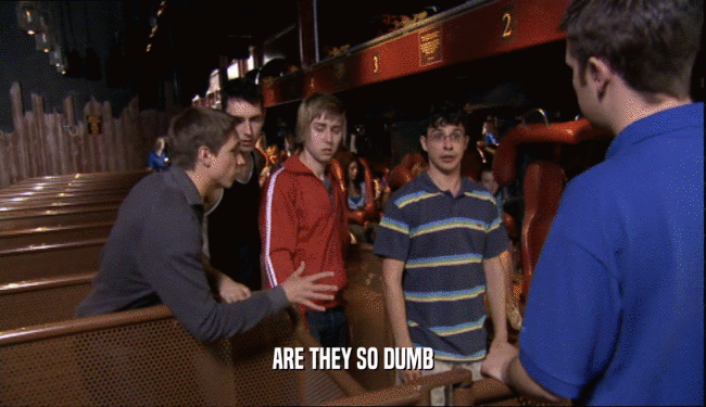 ARE THEY SO DUMB  